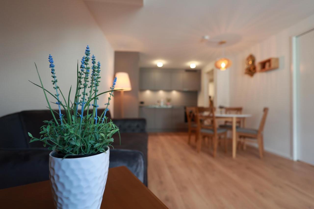 Kobi Apartments Falkenplatz ルツェルン エクステリア 写真
