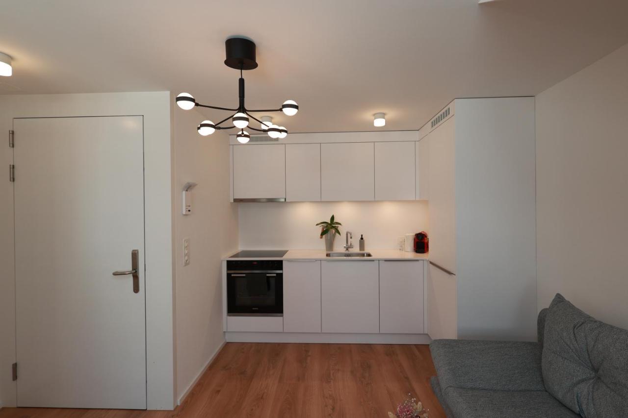 Kobi Apartments Falkenplatz ルツェルン エクステリア 写真
